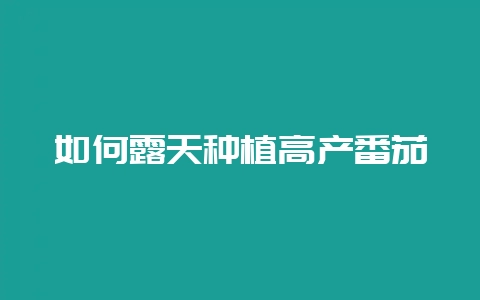 如何露天种植高产番茄-会东网