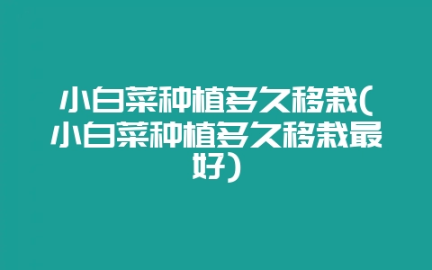 小白菜种植多久移栽(小白菜种植多久移栽最好)插图 小白菜种植多久移栽(小白菜种植多久移栽最好)插图
