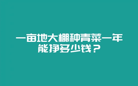 一亩地大棚种青菜一年能挣多少钱?插图 一亩地大棚种青菜一年能挣多少钱?插图