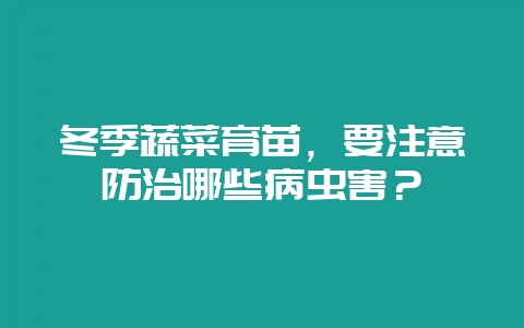 冬季蔬菜育苗，要注意防治哪些病虫害？-会东网