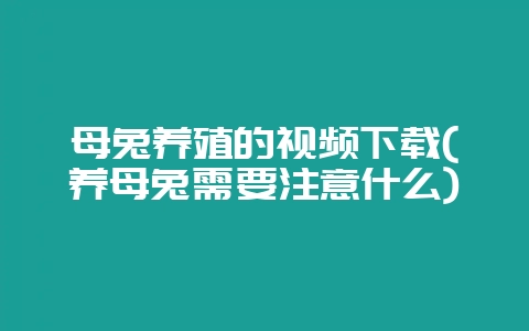 母兔养殖的视频下载(养母兔需要注意什么)-会东网