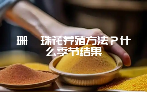 珊瑚珠花养殖方法？什么季节结果-会东网