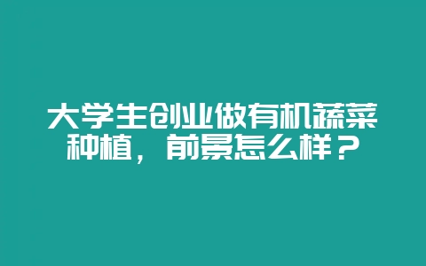 大学生创业做有机蔬菜种植，前景怎么样？-会东网