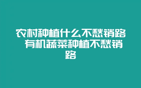 农村种植什么不愁销路 有机蔬菜种植不愁销路-会东网