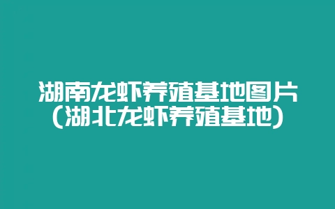 湖南龙虾养殖基地图片(湖北龙虾养殖基地)-会东网