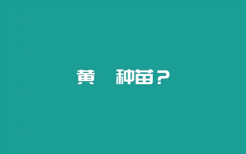 黄鳝种苗?插图 黄鳝种苗?插图