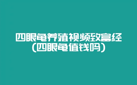 四眼龟养殖视频致富经(四眼龟值钱吗)-会东网