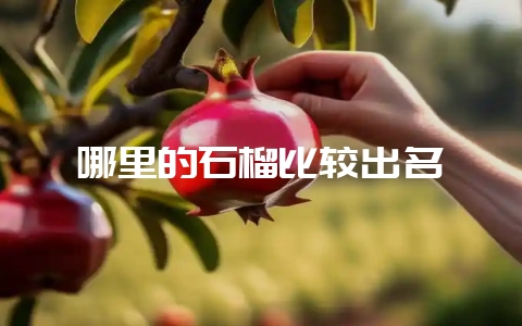 哪里的石榴比较出名-会东网