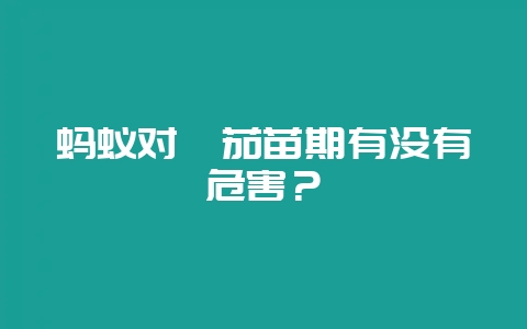 蚂蚁对蕃茄苗期有没有危害？-会东网