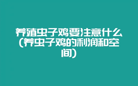 养殖虫子鸡要注意什么(养虫子鸡的利润和空间)-会东网