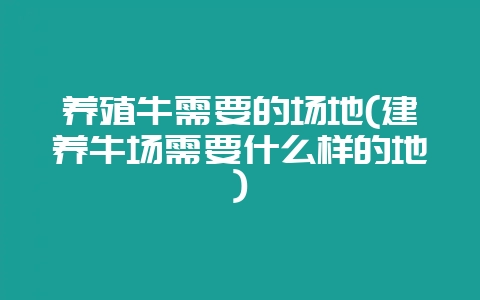 养殖牛需要的场地(建养牛场需要什么样的地)-会东网