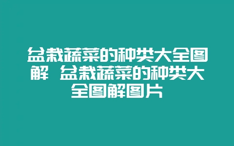 盆栽蔬菜的种类大全图解 盆栽蔬菜的种类大全图解图片-会东网