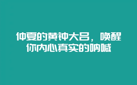 仲夏的黄钟大吕,唤醒你内心真实的呐喊插图 仲夏的黄钟大吕,唤醒你内心真实的呐喊插图
