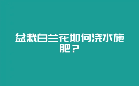 盆栽白兰花如何浇水施肥？-会东网
