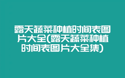 露天蔬菜种植时间表图片大全(露天蔬菜种植时间表图片大全集)插图 露天蔬菜种植时间表图片大全(露天蔬菜种植时间表图片大全集)插图