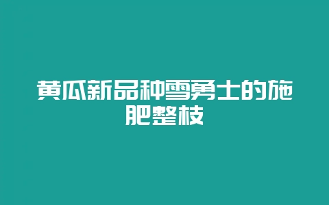 黄瓜新品种雪勇士的施肥整枝-会东网