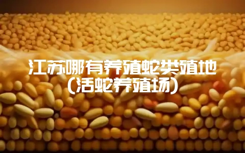 江苏哪有养殖蛇类殖地(活蛇养殖场)-会东网