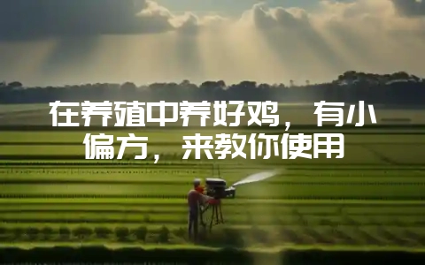 在养殖中养好鸡，有小偏方，来教你使用-会东网