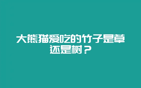 大熊猫爱吃的竹子是草还是树？-会东网