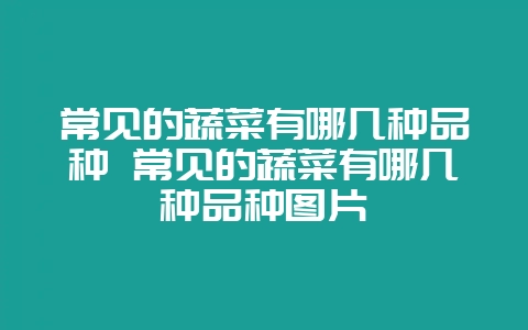 常见的蔬菜有哪几种品种 常见的蔬菜有哪几种品种图片-会东网