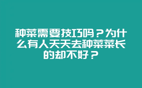 种菜需要技巧吗？为什么有人天天去种菜菜长的却不好？-会东网
