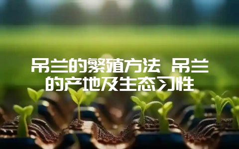 吊兰的繁殖方法 吊兰的产地及生态习性插图 吊兰的繁殖方法 吊兰的产地及生态习性插图