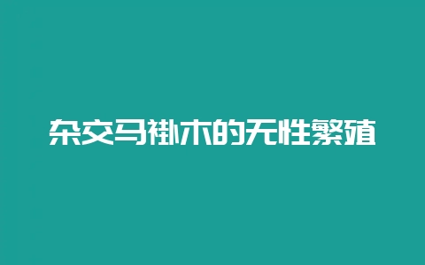 杂交马褂木的无性繁殖-会东网