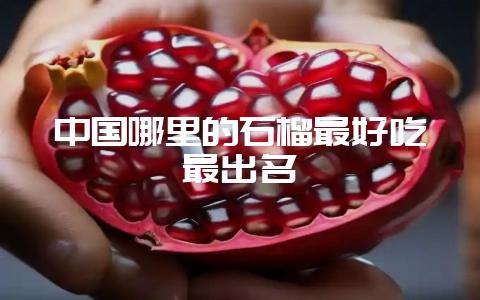 中国哪里的石榴最好吃最出名-会东网