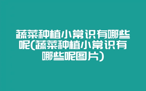 蔬菜种植小常识有哪些呢(蔬菜种植小常识有哪些呢图片)-会东网