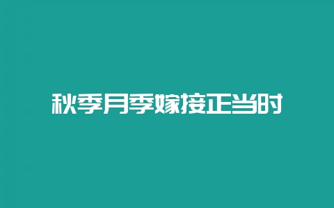 秋季月季嫁接正当时-会东网