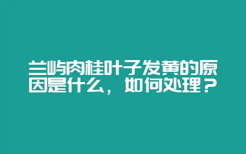 兰屿肉桂叶子发黄的原因是什么，如何处理？-会东网