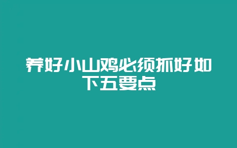 养好小山鸡必须抓好如下五要点-会东网