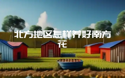 北方地区怎样养好南方花卉-会东网