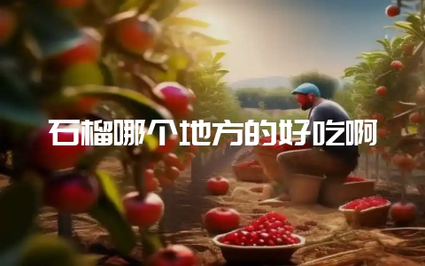 石榴哪个地方的好吃啊-会东网