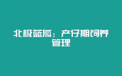 北极蓝狐：产仔期饲养管理-会东网