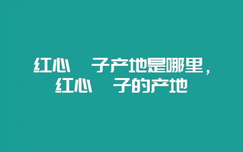 红心柚子产地是哪里，红心柚子的产地-会东网