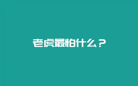 老虎最怕什么？-会东网