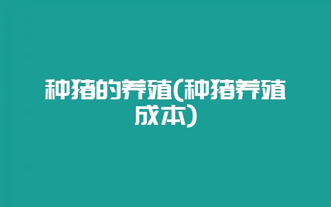 种猪的养殖(种猪养殖成本)-会东网