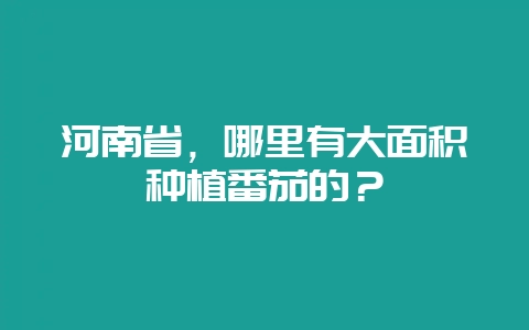 河南省，哪里有大面积种植番茄的？-会东网