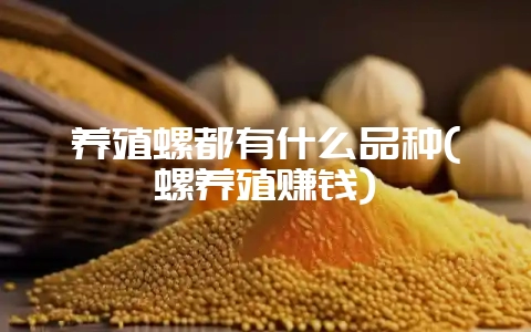 养殖螺都有什么品种(螺养殖赚钱)-会东网