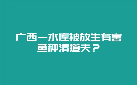 广西一水库被放生有害鱼种清道夫？-会东网