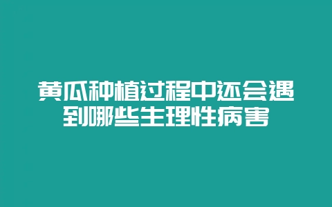 黄瓜种植过程中还会遇到哪些生理性病害插图 黄瓜种植过程中还会遇到哪些生理性病害插图