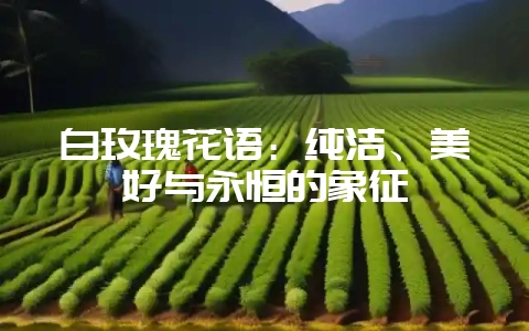 白玫瑰花语:纯洁、美好与永恒的象征插图 白玫瑰花语:纯洁、美好与永恒的象征插图