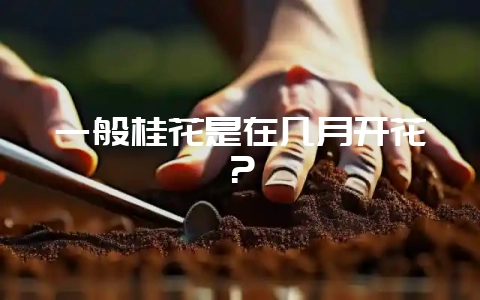 一般桂花是在几月开花？-会东网