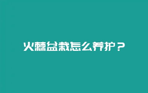 火棘盆栽怎么养护？-会东网