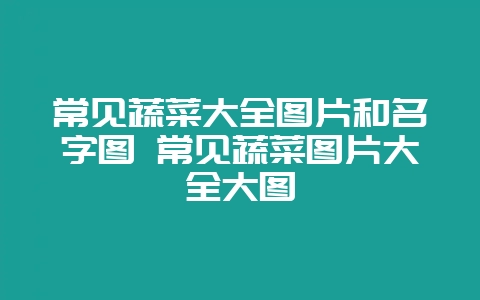 常见蔬菜大全图片和名字图 常见蔬菜图片大全大图-会东网