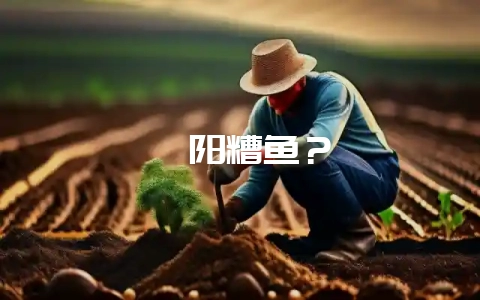 濮阳糟鱼？-会东网