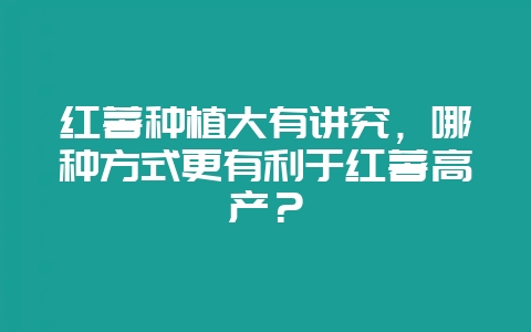 红薯种植大有讲究，哪种方式更有利于红薯高产？-会东网