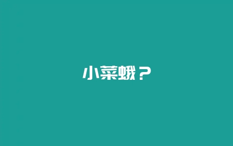 小菜蛾？-会东网