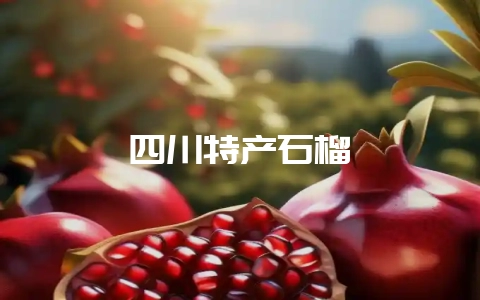 四川特产石榴-会东网